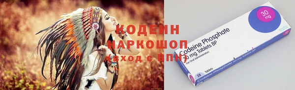 прущие грибы Заводоуковск