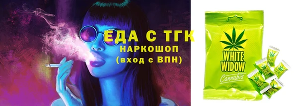 прущие грибы Заводоуковск