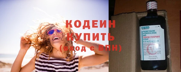 прущие грибы Заводоуковск