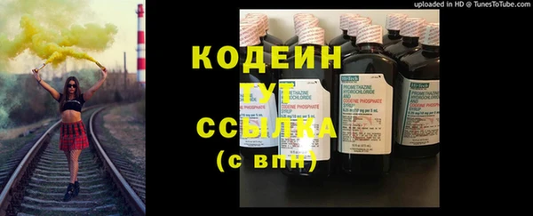 прущие грибы Заводоуковск