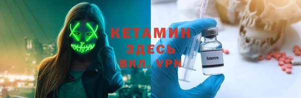 прущие грибы Заводоуковск