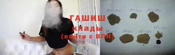 прущие грибы Заводоуковск