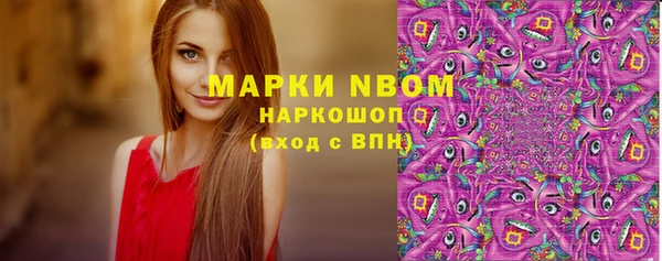 прущие грибы Заводоуковск