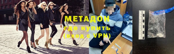 прущие грибы Заводоуковск