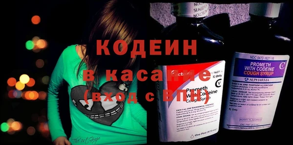 прущие грибы Заводоуковск